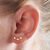 Hot Crystal Flower Stud Earrings for Women Fashion Jewelry Gold Silver Rhinestones Earrings Gift for Party and Best Friend